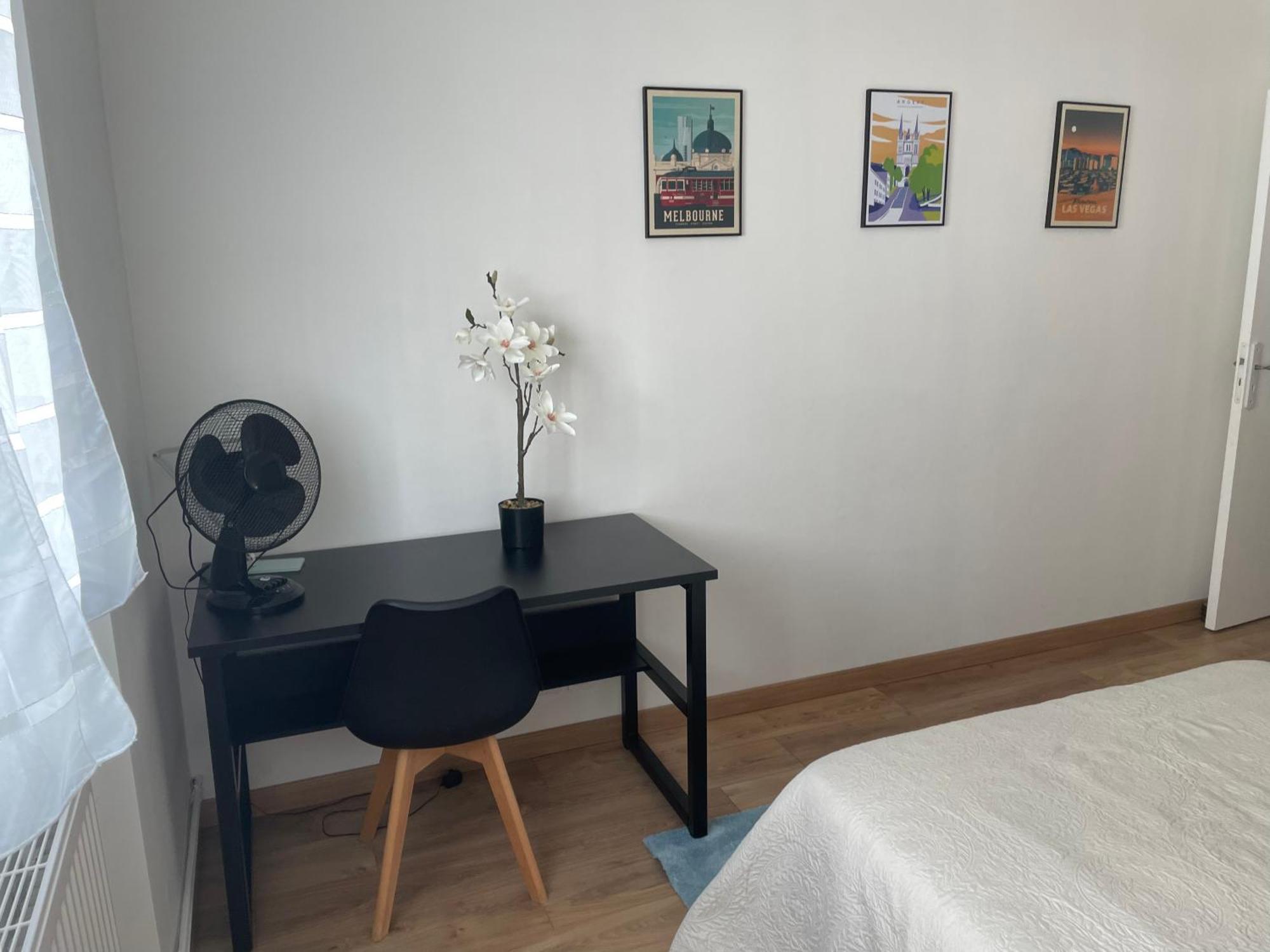 Appartement Spacieux Centre Gare Visitation Angers