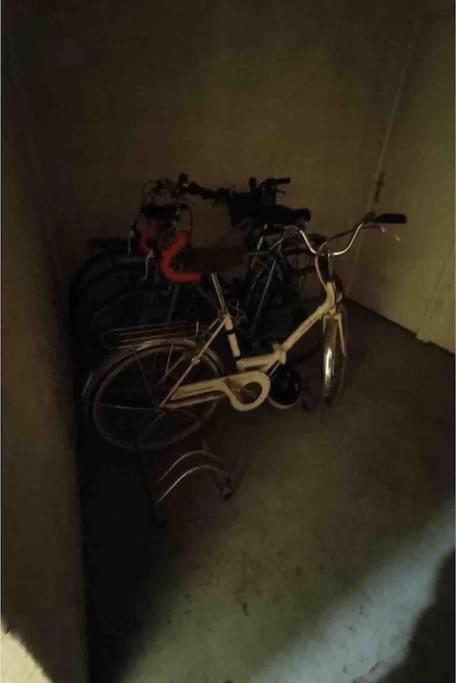 Spacieux Centre Gare Visitation Appartement Angers