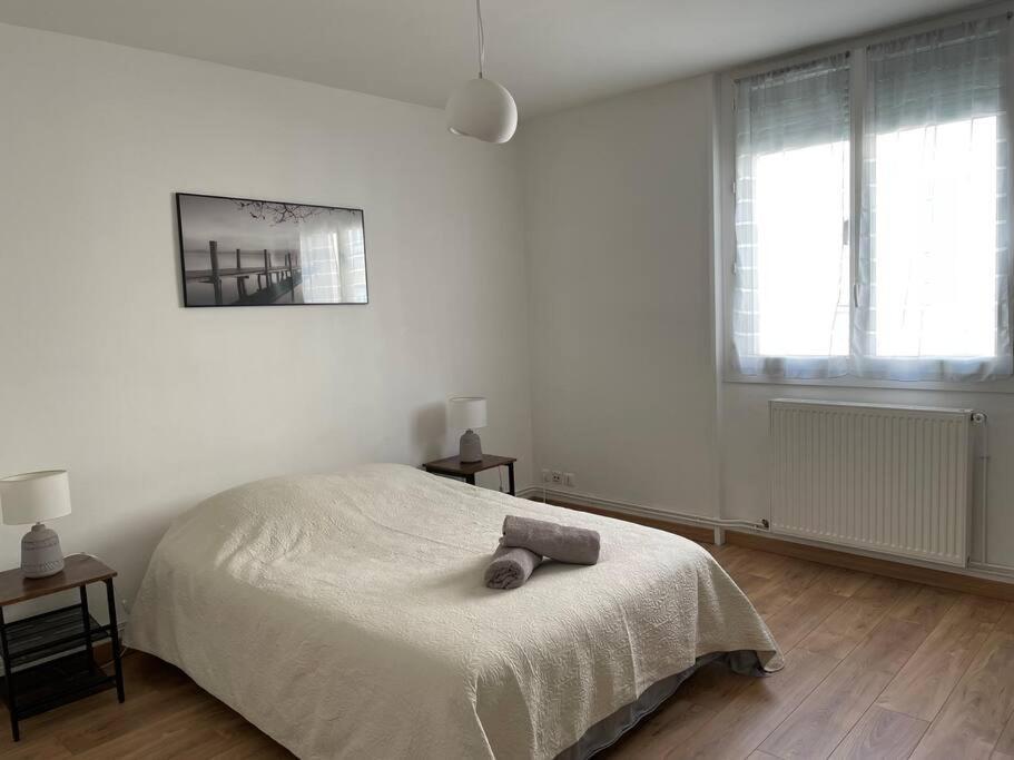 Spacieux Centre Gare Visitation * Angers